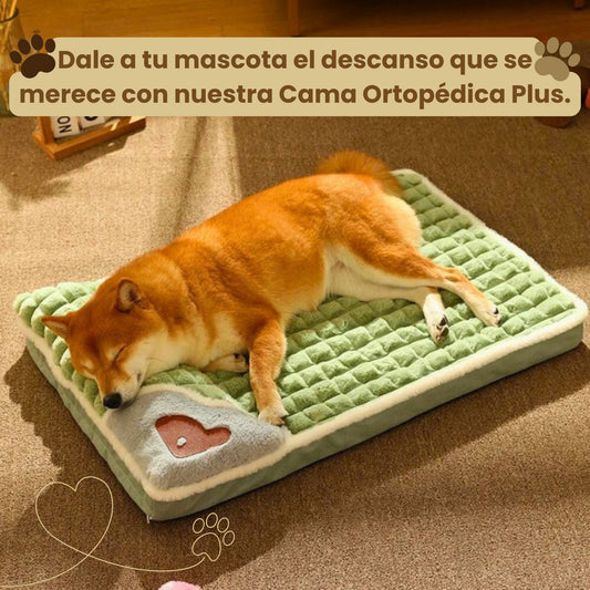 La Cama Ortopédica Plus: Confort y Bienestar para tus Mascotas